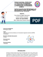 Proyecto de Investigacion Final - Farro y Lozano - Ppts para Presentar PDF