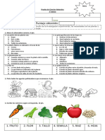 Prueba Las Plantas I 3°