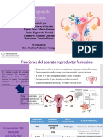 Fisiologia GINECO FINAL