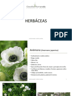 CR Herbaceas