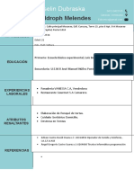 CURRICULO PLANTILLo