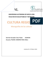 Cmag - Monografia - Cultura Reg PDF