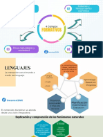 4 Campos Formativos