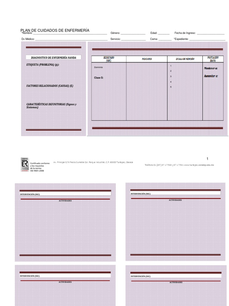 Plan de Cuidados de Enfermería | PDF | Cuidado de la salud | Ciencias ...