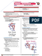 Cardiovascular Pathology - 020) Aortic Valve Stenosis and Regurgitation (Notes)