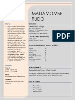 Madamombe Rudombe's Profile and Resume