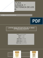 Clase Estructura Morfológica y Arquitectónica de Los Huesos PDF