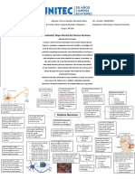 Mapa Mental Sistema Nervioso PDF