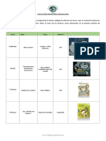 Plan Lector Abril Lenguaje PK A IV° 2023 PDF