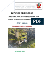 Estudio de Riesgos-Pte Colca