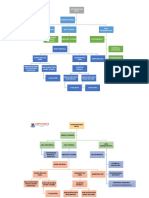 Borrador Organigrama