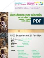 Accidentes Por Alacrán PDF