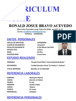 Copia de CURRICULUM VITAE