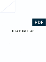 Diatomitas (1)