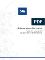 Guía Usuario Pago en Línea.pdf