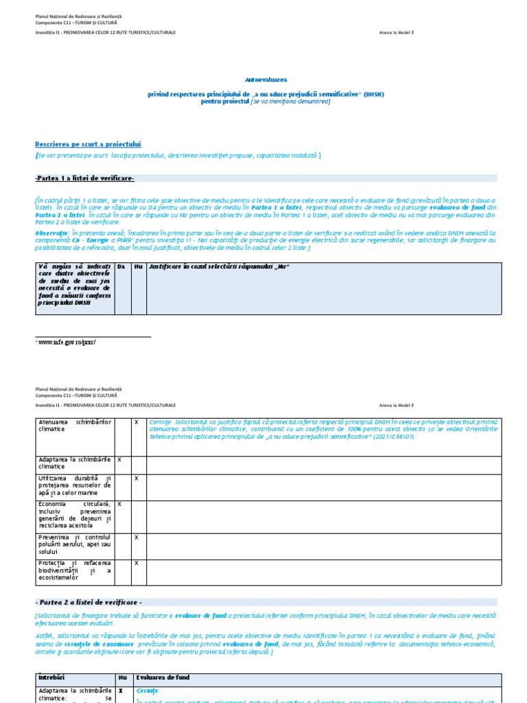 Autoevaluare DNSH | PDF