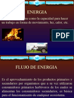 Flujo de Energia