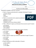 Examen Bimestral de Ciencia y Ambiente PDF
