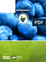 Growing Blueberries: An Overview of Practices