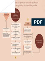 Diagrama Valoracion NAP