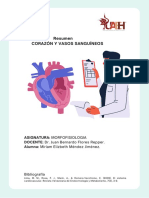 Corazón y vasos sanguíneos