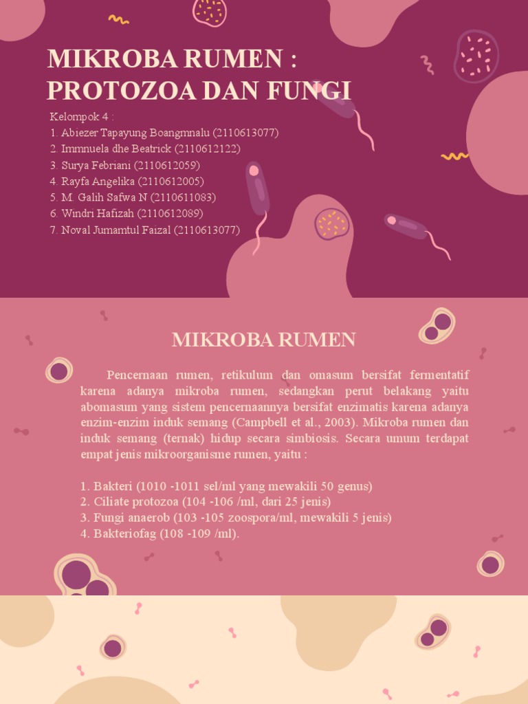 Kelompok 4 - Mikroba Rumen - Protozoa Dan Fungi | PDF