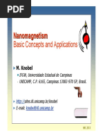 Marcelo Knobel Nanomagnetism PDF