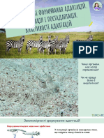 Загальні властив.адаптацій Преадаптації, постадаптації - 1663063402