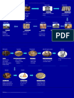 La Evolución de La Historia