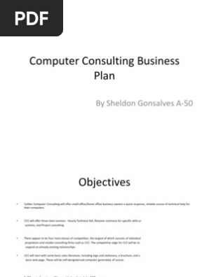 Computer Consulting Business Plan