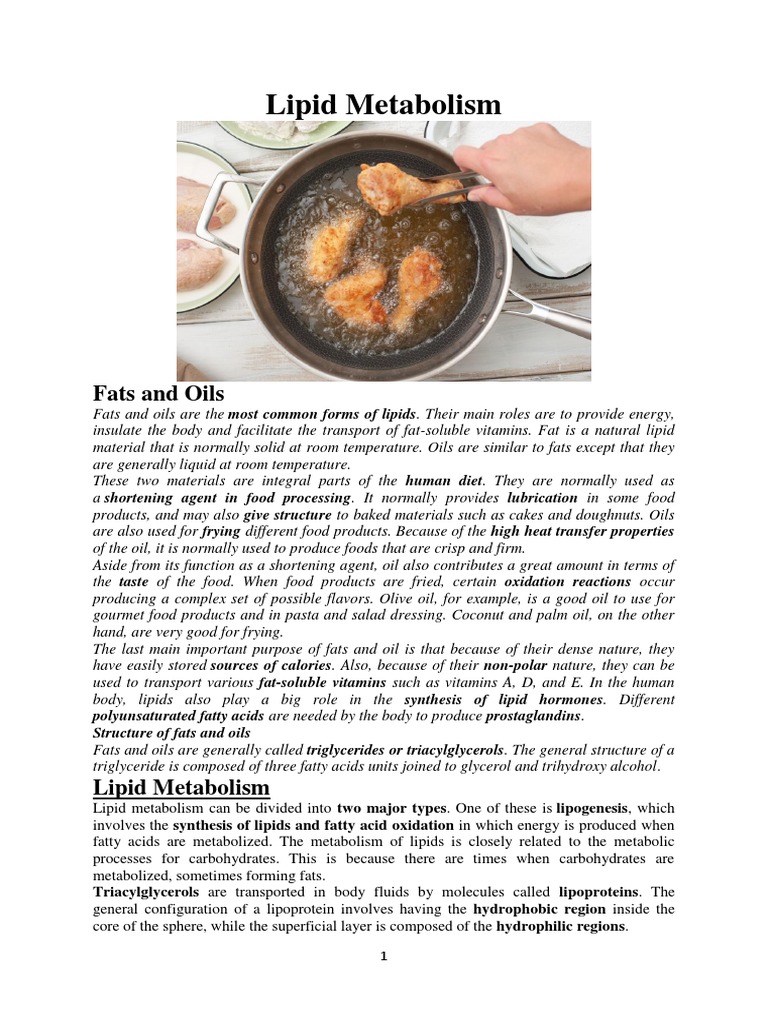 LIPID METABOLISM Notes PDF | PDF | Lipid | Fatty Acid