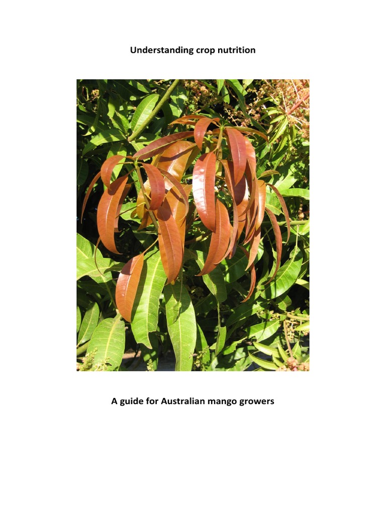 mg15006 Understanding Crop Nutrition Mango | PDF | Soil | Plant Nutrition