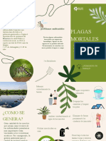 Trifoliar para Imprimir Listo Monte Verde Biologia
