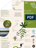 Flyer Folleto Triptico Plantas Vivero Divertido Moderno Orgánico Verde