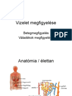 Vizelet Megfigyelése