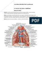 Prinicipais Nervos e Vasos Do Tórax e Abdomen