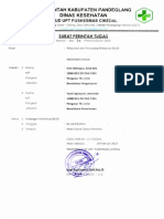 Surat Perintah Tugas Workshop e Blud PDF