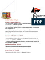 Codice Della Strada PDF