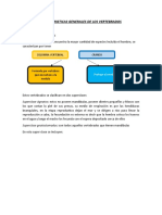 Caracteristicas Generales de Los Vertebrados