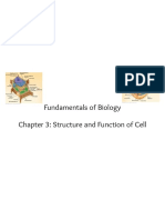 Fundamentals of Biology Chapter 3: Structure and Function of Cell
