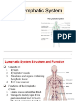 08 - Lymphatic System