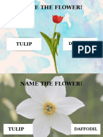 Name The Flower! PDF