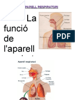 Presentació Respiratori