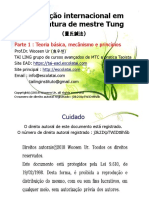 Mestre Tung Parte 1 - Teoria Basica PDF