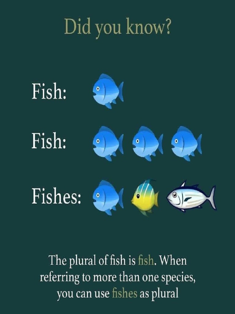 Fish Singular Vs Plural PDF