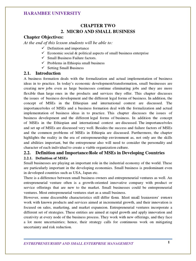 Importance of Micro and Small Enterprises | PDF | Entrepreneurship ...