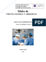 MH 533 - Cirugía General y Abdominal - Sílabo