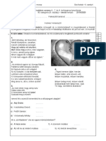 Iskolai Feladatlap PDF