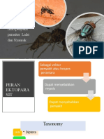 Ilmu penyakit parasiter lalat nyamuk-ry.pptx