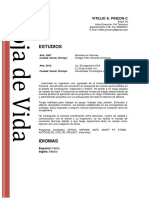 Hoja de vida Vitelio Pinzón 2020.pdf